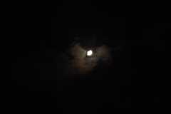 Moon1632.jpg(42796 byte)