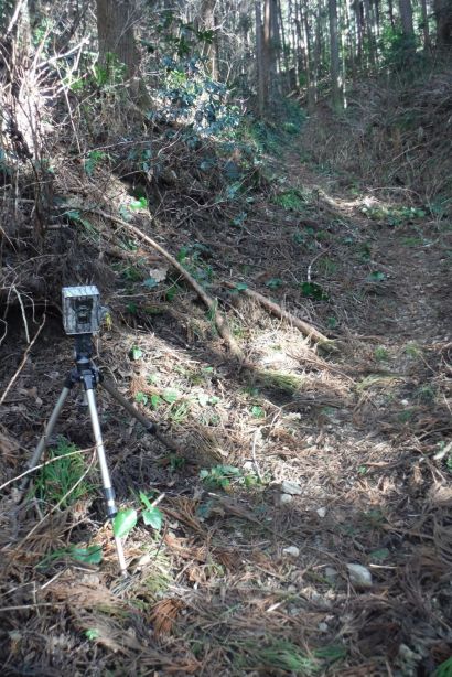 7camera.jpg(93217 byte)